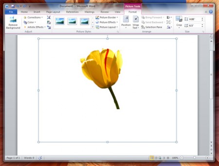 Как удалить фоновое изображение, используя PowerPoint 2010?